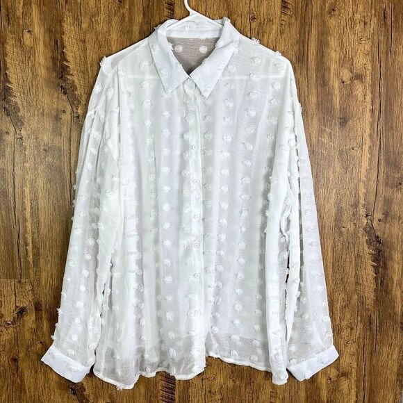 Unbranded Polka Dot Embroidery Chiffon Blouse, Long Sleeve, size 2XL, White, NWO - Picture 1 of 8